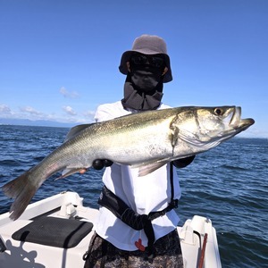 20250921_091324_コピー