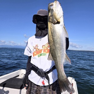 20250921_091258_コピー