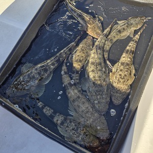 20250922_154914_コピー