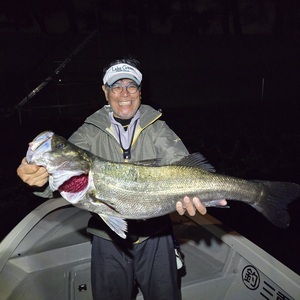 20250922_223202_コピー