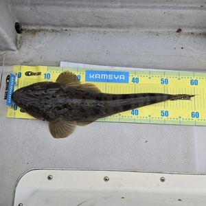 20250925_155951_コピー