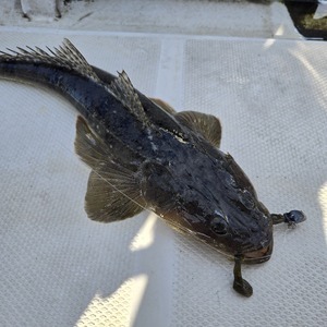 20250926_073735_コピー