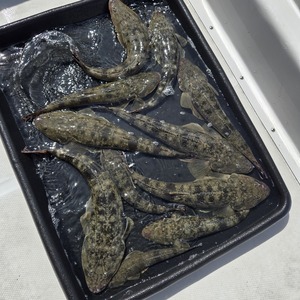 20250926_113933_コピー