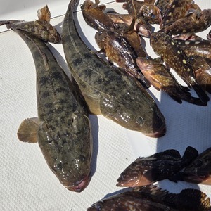 20250927_104958_コピー