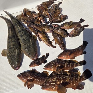 20250927_104939_コピー