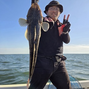 20250927_151939_コピー