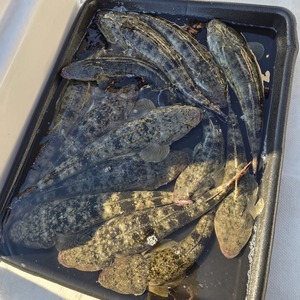 20250927_155530_コピー