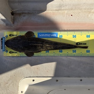 20250927_160337_コピー