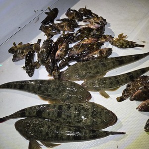 20250927_213918_コピー