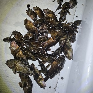 20250928_225120_コピー