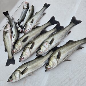 20250930_061003_コピー