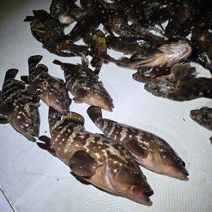 20250930_214736_コピー