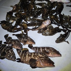 20250930_214732_コピー