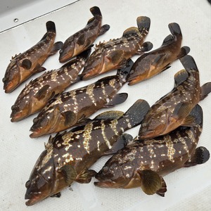 20251003_110713_コピー