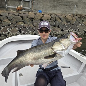 20251003_105801_コピー