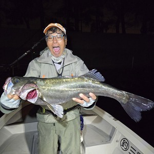 20251004_005440_コピー