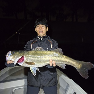 20251004_005345_コピー