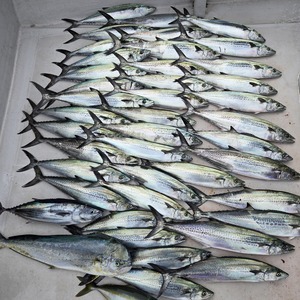 20251004_090142_コピー