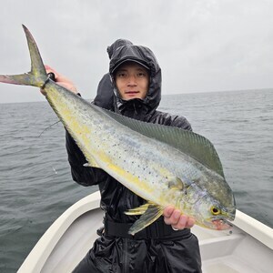 20251004_075440_コピー