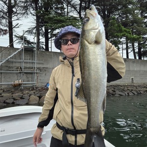 20251004_173826_コピー