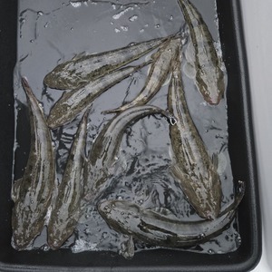 20251004_173731_コピー