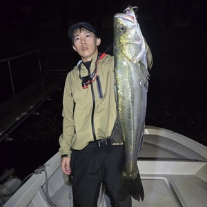 20251004_225529_コピー