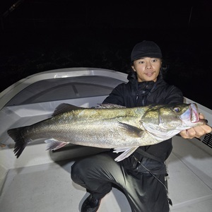 20251004_224849_コピー