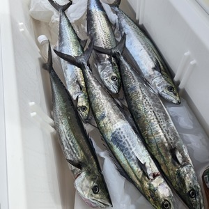 20251019_120029_コピー