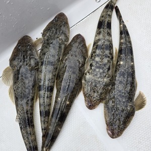 20251019_124554_コピー