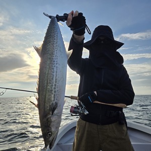 20251020_072836_コピー