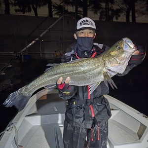 20251022_030836_コピー