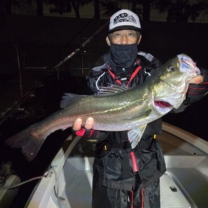 20251022_030730_コピー