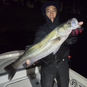 20251022_030712_コピー