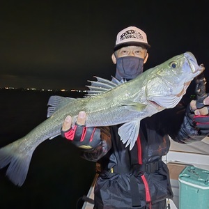 20251021_230743_コピー