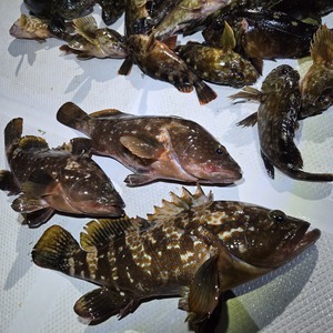 20251022_222948_コピー