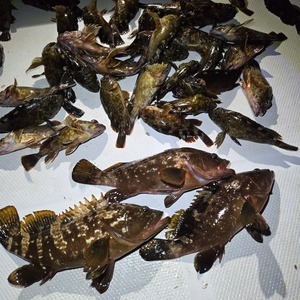 20251022_222907_コピー