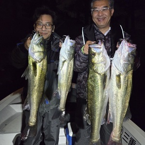 20251023_033847_コピー