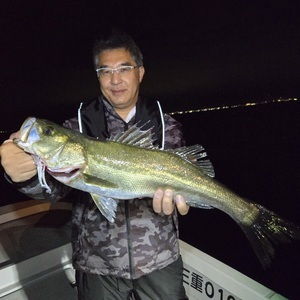 20251023_020650_コピー