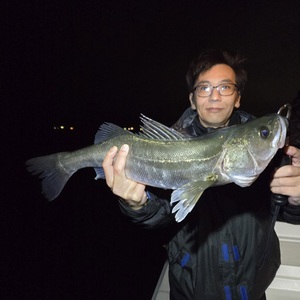 20251022_235726_コピー