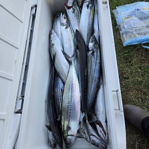 20251023_120734_コピー