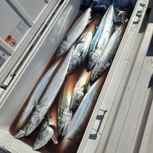 20251023_120212_コピー