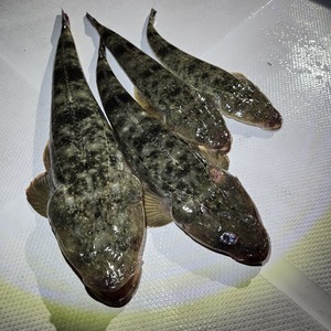 20251023_173650_コピー