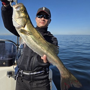 20251023_133559_コピー