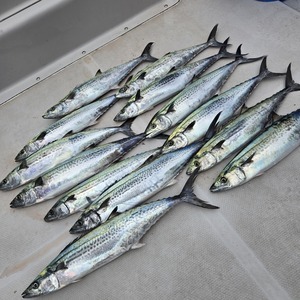 20251024_103336_コピー