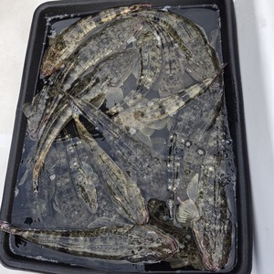 20251024_161236_コピー