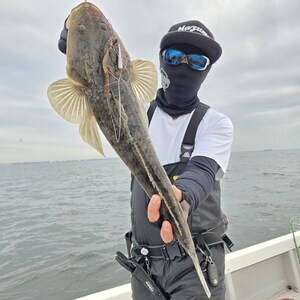 20251024_151839_コピー