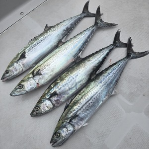 20251026_121729_コピー