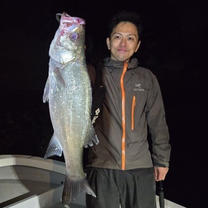 20251029_032751_コピー