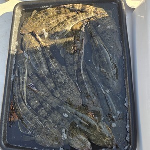 20251030_144357_コピー