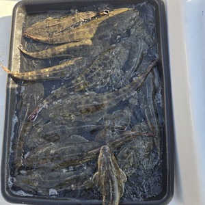 20251030_143643_コピー